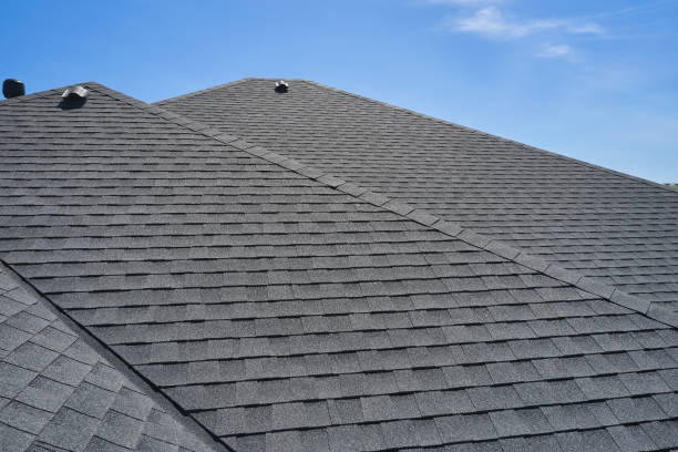 Best Roof Maintenance and Cleaning  in , HI
