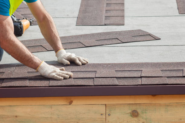 Best Sheet Metal Roofing  in , HI