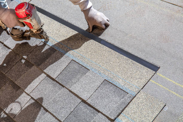 Best Chimney Flashing Repair  in , HI